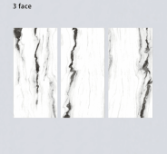 ALPHA  | Tiles | 24 X 48 | 612AF003 | Floor Tile | Polished | White | Prime