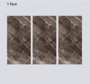 ALPHA  | Tiles | 24 X 48 | 612AF012B | Floor Tile | Polished | Dark Brown | Prime