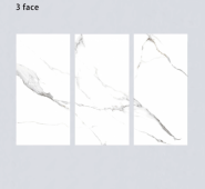 ALPHA  | Tiles | 24 X 48 | 612AF015 | Floor Tile | Polished | White | Prime