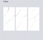ALPHA  | Tiles | 24 X 48 | 612AF017 | Floor Tile | Polished | White | Prime