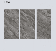 ALPHA  | Tiles | 24 X 48 | 612AF023 | Floor Tile | Polished | Metalic Grey | Prime