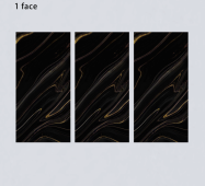 ALPHA  | Tiles | 24 X 48 | 612AF026H | Floor Tile | Polished | Black  | Prime