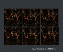 ALPHA  | Tiles | 24 X 24 | 60AF010H | Floor Tile | Polished | Black  | Prime