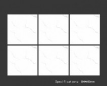 ALPHA  | Tiles | 24 X 24 | 60AF051 | Floor Tile | Polished | White | Prime