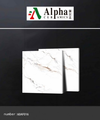 ALPHA  | Tiles | 24 X 24 | 60AF016 | Floor Tile | Polished | White | Prime