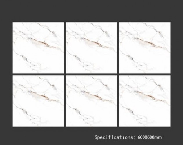ALPHA  | Tiles | 24 X 24 | 60AF016 | Floor Tile | Polished | White | Prime