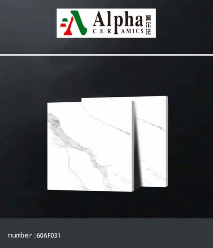ALPHA  | Tiles | 24 X 24 | 60AF031 | Floor Tile | Polished | White | Prime