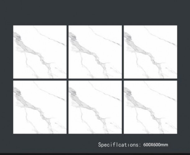 ALPHA  | Tiles | 24 X 24 | 60AF031 | Floor Tile | Polished | White | Prime