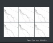 ALPHA  | Tiles | 24 X 24 | 60AF031 | Floor Tile | Polished | White | Prime