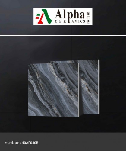 ALPHA  | Tiles | 24 X 24 | 60AF040B | Floor Tile | Polished | Grey | Prime