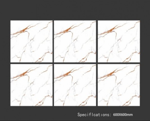 ALPHA  | Tiles | 24 X 24 | 60AF050 | Floor Tile | Polished | White | Prime