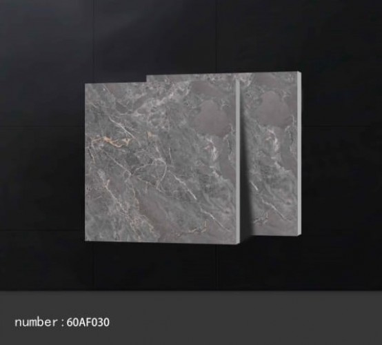 ALPHA  | Tiles | 24 X 24 | 60AF030 | Floor Tile | Polished | Metalic Grey | Prime