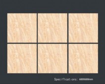 ALPHA  | Tiles | 24 X 24 | 60AF026 | Floor Tile | Polished | Beige | Prime