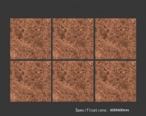 ALPHA  | Tiles | 24 X 24 | 60AF021B | Floor Tile | Polished | Dark Brown | Prime