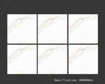 ALPHA  | Tiles | 24 X 24 | 60AF020 | Floor Tile | Polished | White | Prime