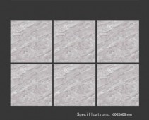 ALPHA  | Tiles | 24 X 24 | 60AF019 | Floor Tile | Polished | Grey | Prime