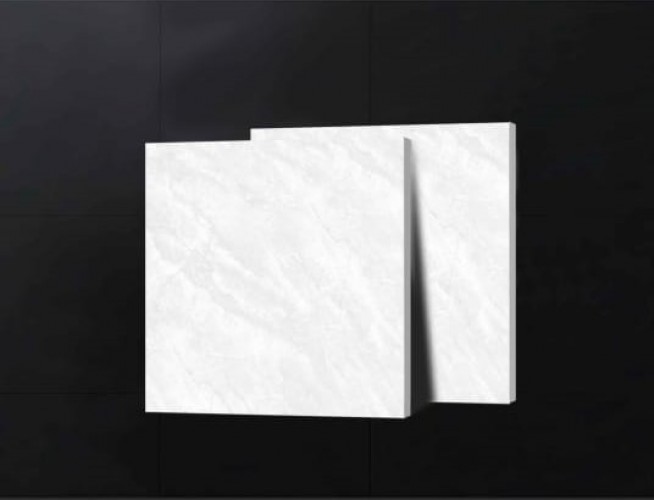 ALPHA  | Tiles | 24 X 24 | 60AF018 | Floor Tile | Polished | Grey White | Prime
