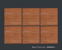 ALPHA  | Tiles | 24 X 24 | 60AF013 | Floor Tile | Polished | Wood Brown | Prime