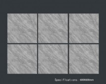 ALPHA  | Tiles | 24 X 24 | 60AF012 | Floor Tile | Polished | Grey | Prime