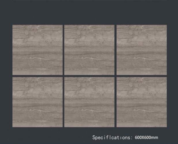 ALPHA  | Tiles | 24 X 24 | 60AF011 | Floor Tile | Polished | Metalic Grey | Prime