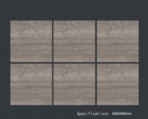 ALPHA  | Tiles | 24 X 24 | 60AF011 | Floor Tile | Polished | Metalic Grey | Prime