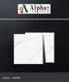 ALPHA  | Tiles | 24 X 24 | 60AF009 | Floor Tile | Polished | White | Prime