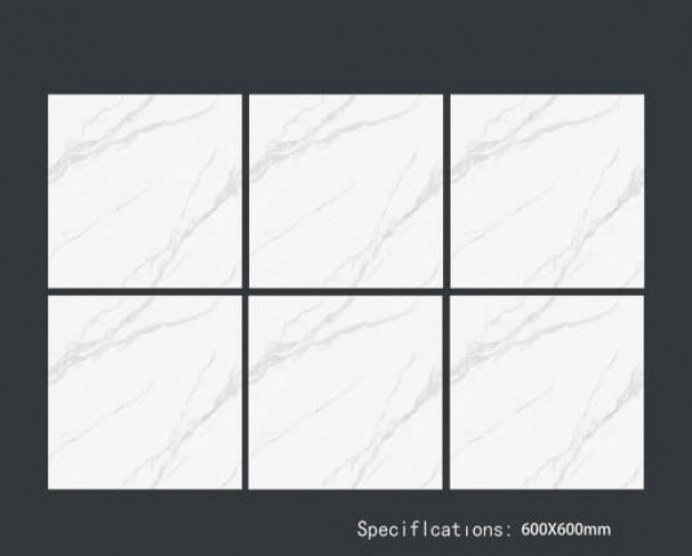 ALPHA  | Tiles | 24 X 24 | 60AF009 | Floor Tile | Polished | White | Prime