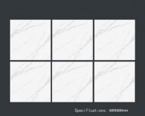 ALPHA  | Tiles | 24 X 24 | 60AF009 | Floor Tile | Polished | White | Prime