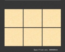 ALPHA  | Tiles | 24 X 24 | 60AF006 | Floor Tile | Polished | Ivory | Prime