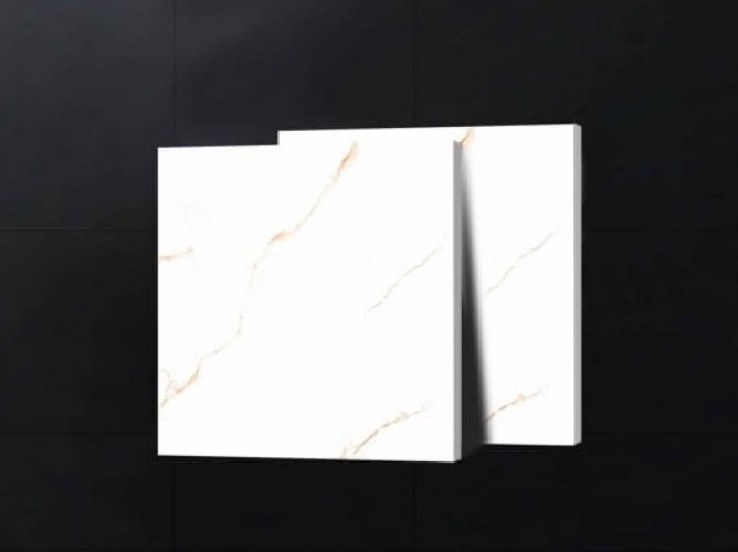 ALPHA  | Tiles | 24 X 24 | 60AF005 | Floor Tile | Polished | White | Prime