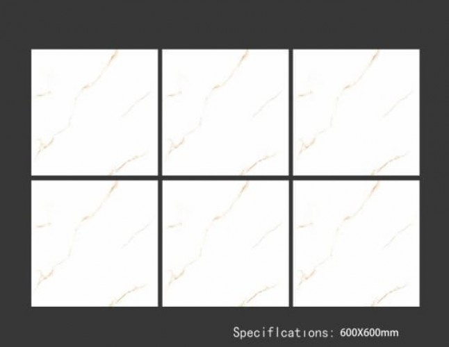ALPHA  | Tiles | 24 X 24 | 60AF005 | Floor Tile | Polished | White | Prime