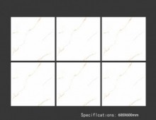 ALPHA  | Tiles | 24 X 24 | 60AF005 | Floor Tile | Polished | White | Prime