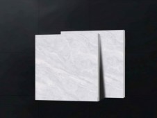 ALPHA  | Tiles | 24 X 24 | 60AF003 | Floor Tile | Polished | Grey | Prime