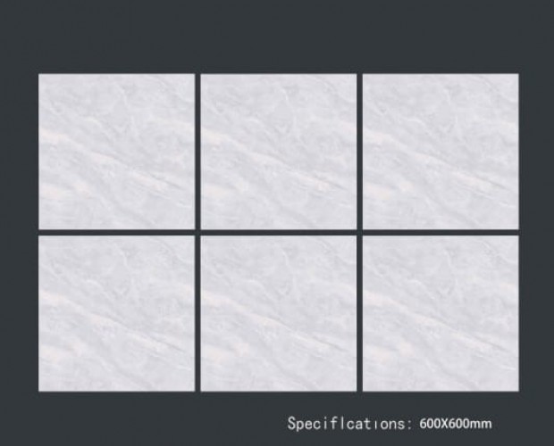 ALPHA  | Tiles | 24 X 24 | 60AF003 | Floor Tile | Polished | Grey | Prime