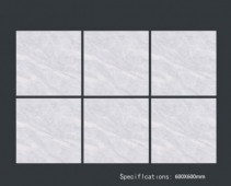 ALPHA  | Tiles | 24 X 24 | 60AF003 | Floor Tile | Polished | Grey | Prime