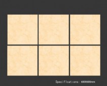 ALPHA  | Tiles | 24 X 24 | 60AF002 | Floor Tile | Polished | Ivory | Prime