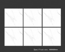 ALPHA  | Tiles | 24 X 24 | 60AF001 | Floor Tile | Polished | White | Prime