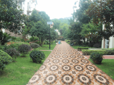 OREAL  | Tiles | 16 X 16 | OR4422 | Floor Tile | Matt | Ivory Brown | Prime