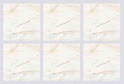 QIANG SHENG | Tiles | 32 X 32 | 80QS022 | Floor Tile | Polished | Ivory | AAA Quality