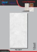 Ghani | Tiles | 24 X 48 | PG12017 | Floor Tile | Polished | Grey White | Prime