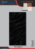 Ghani | Tiles | 24 X 48 | PG12024H | Floor Tile | Polished | Burgandy | Prime