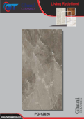 Ghani | Tiles | 24 X 48 | PG12026 | Floor Tile | Polished | Grey | Prime