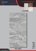 Ghani | Tiles | 24 X 48 | PG12027 | Floor Tile | Polished | Grey | Prime