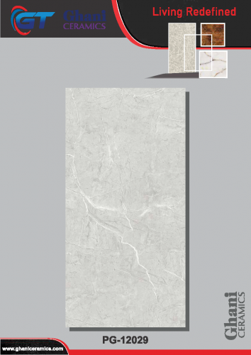 Ghani | Tiles | 24 X 48 | PG12029 | Floor Tile | Polished | Grey | Prime