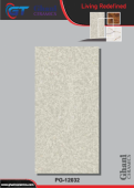 Ghani | Tiles | 24 X 48 | PG12032 | Floor Tile | Polished | Grey | Prime