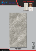 Ghani | Tiles | 24 X 48 | PG12033 | Floor Tile | Polished | Grey | Prime