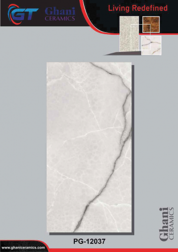Ghani | Tiles | 24 X 48 | PG12037 | Floor Tile | Polished | Grey | Prime