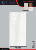 Ghani | Tiles | 24 X 48 | PG12039 | Floor Tile | Polished | Grey | Prime