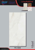 Ghani | Tiles | 24 X 48 | PG12040 | Floor Tile | Polished | Grey | Prime