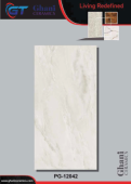 Ghani | Tiles | 24 X 48 | PG12042 | Floor Tile | Polished | Grey | Prime